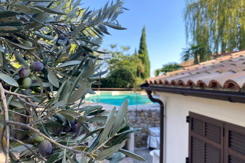 Relais San Sebastiano Villa ปิเอตราลิกูเร ภายนอก รูปภาพ
